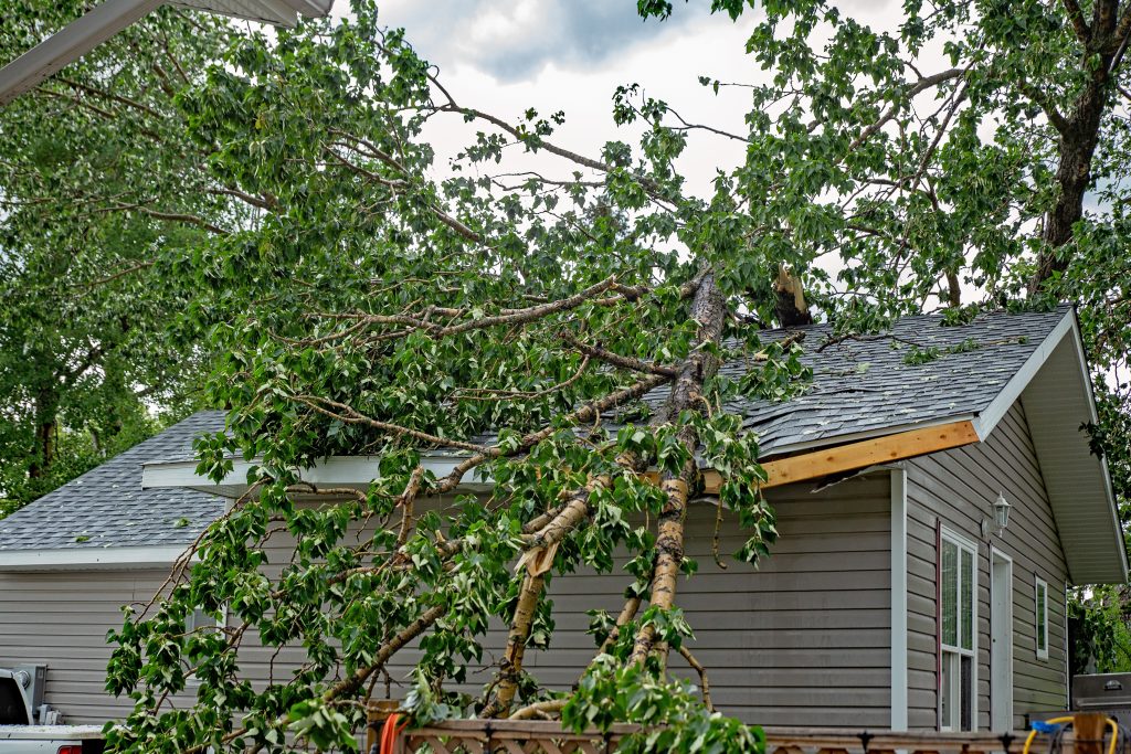 tree on rooftop being removed by North Carolina restoration services company